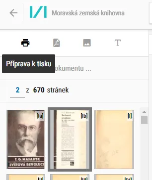 Digitální knihovna