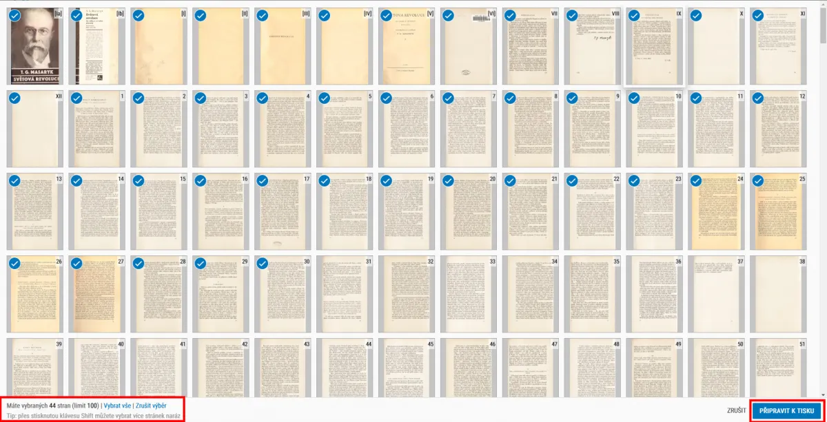 Digitální knihovna