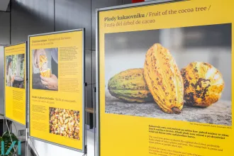 Kakao - dar bohů - fotky z výstavy 4